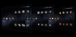 The Hubble Sequence Throughout the Universe's history