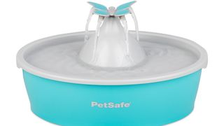 petsafe dog water fountain