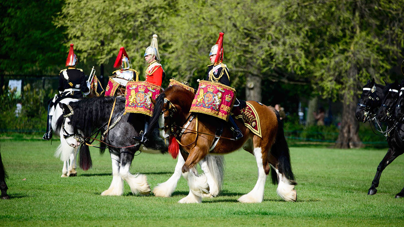 QUEENS CAVALRY READY FOR SUMMER OF CEREMONIAL