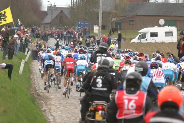 The peloton thunders towards Harelbeke...