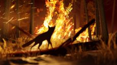 The silhouette of a fox looking towards a wildfire in the forest