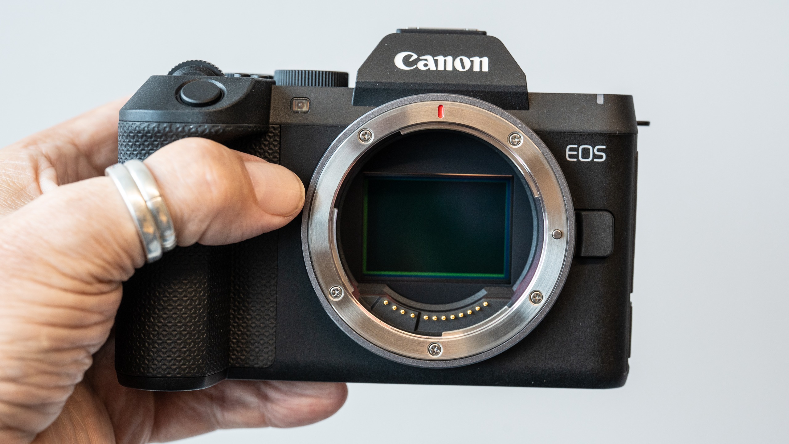 Canon EOS R8 Mark II