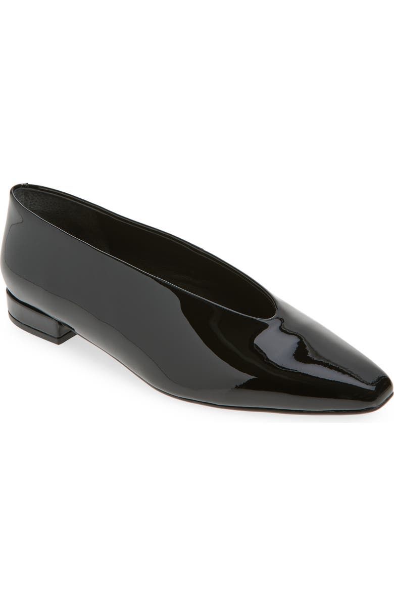 Hinted Pointed Toe Flat