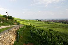 Vorbourg Grand Cru vineyard in Alsace