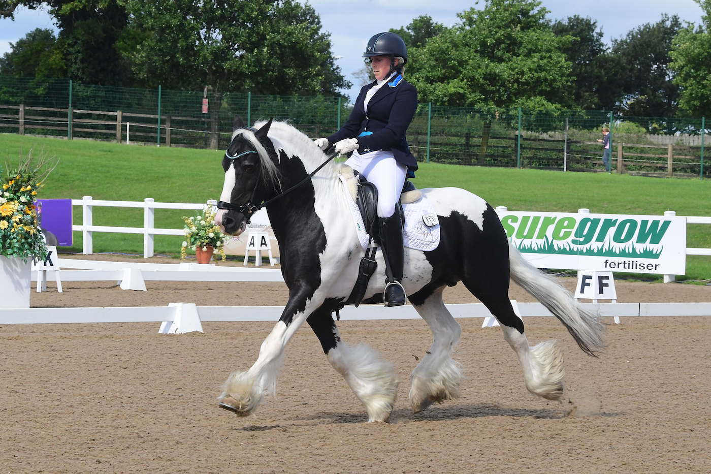 DS8_9468.jpg