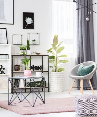 A white living room with a black bookshelf, lots of framed art and a gray chair in the corner.