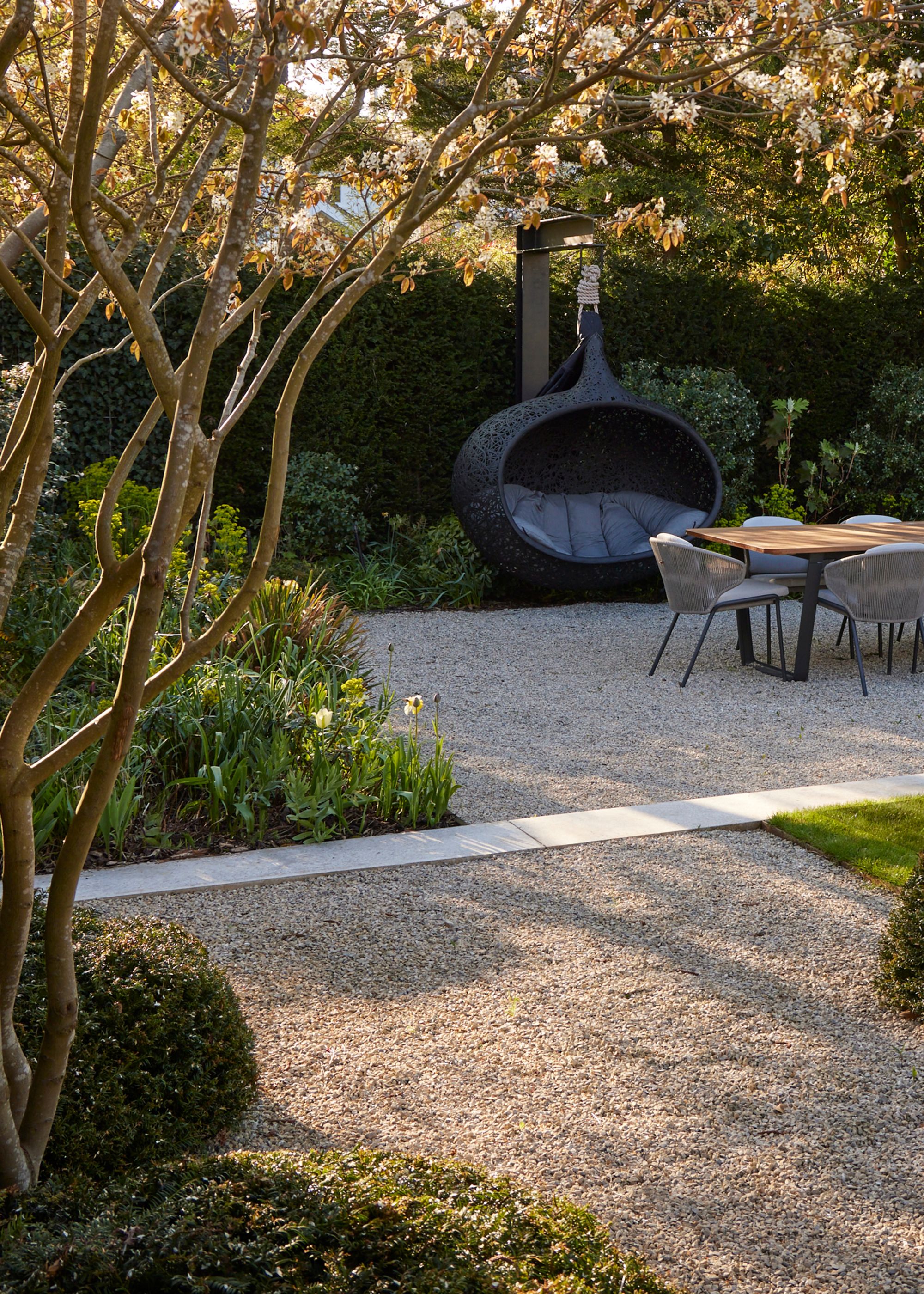 A modern garden with gravel and an outdoor dining table and chairs with a large black egg chair at the back. Flower beds with lots of greenery and a large tree with white flowers.