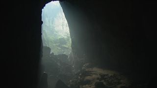 A unique ecosystem within the cave.