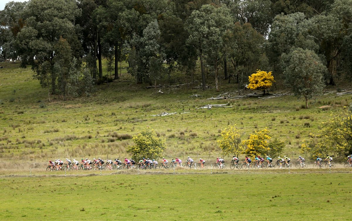 The Tour of King Valley landscape