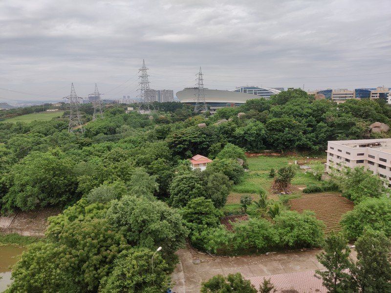OnePlus Nord camera sample