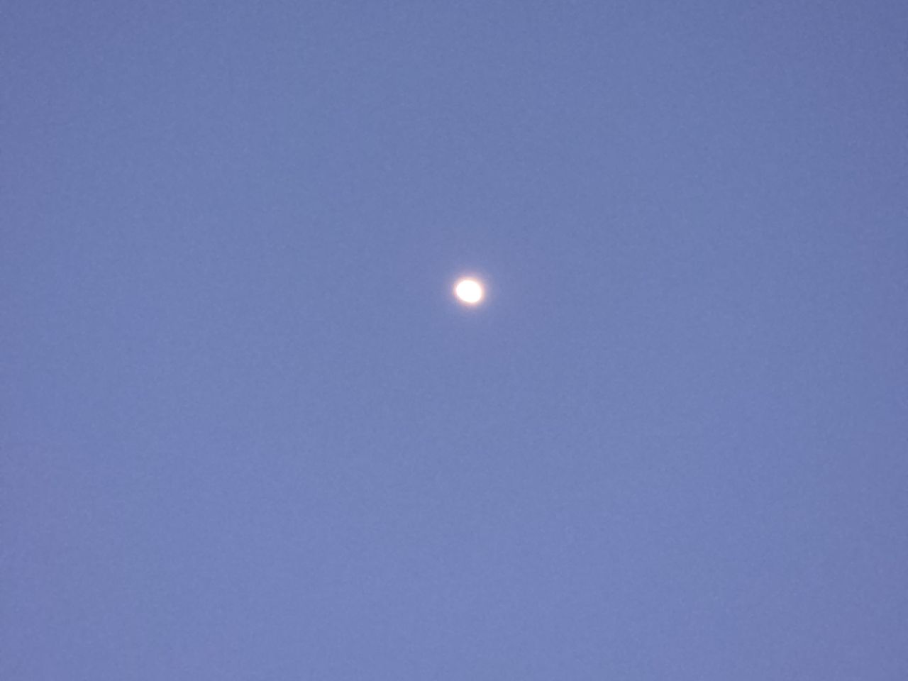 Samsung Galaxy S26 Plus Review Camera Samples