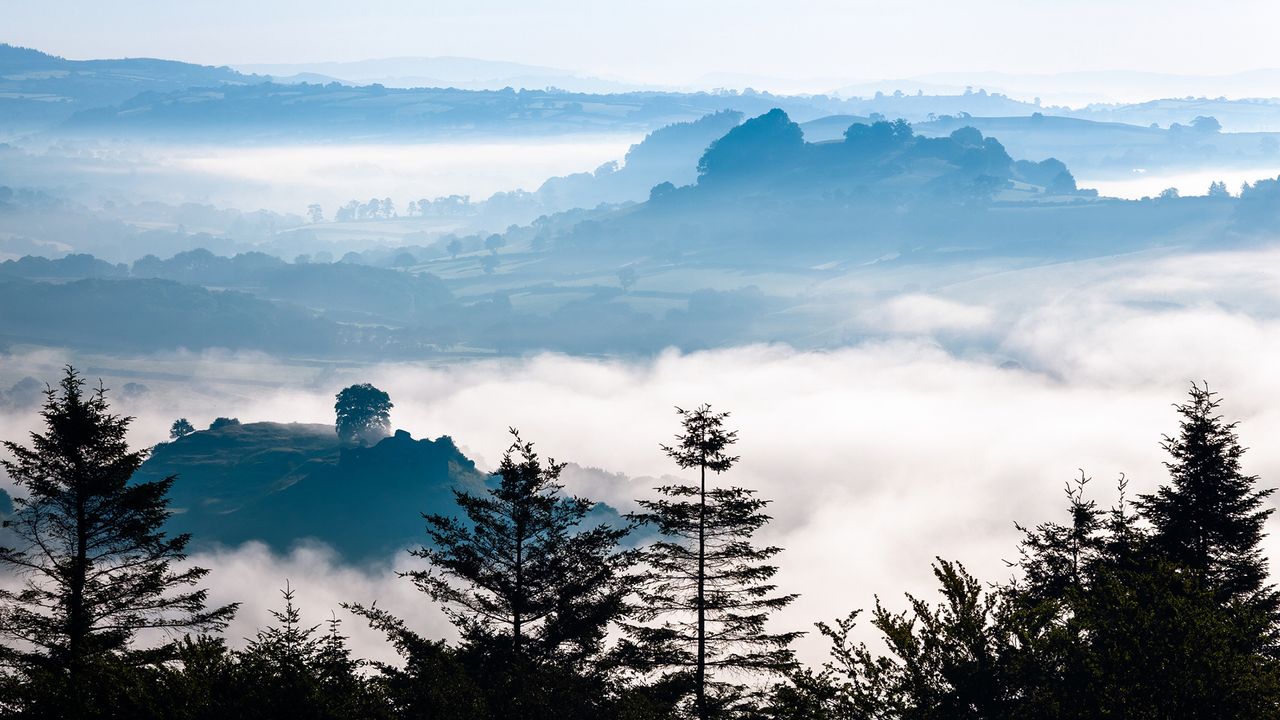 How Welsh councils are improving services with Microsoft Copilot