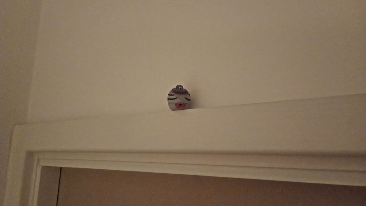 Photo taken on Motorola Moto G06 Power showing pigeon figure balanced on door frame