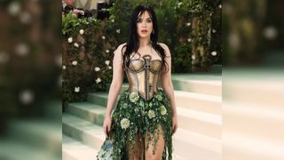 AI generated picture of Katy Perry at the Met Gala