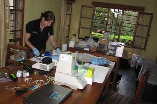 Everything Tracie Seimon's mobile microbiology laboratory includes has to fit within just a few suitcases. Here Seimon is conducting work in a pop-up laboratory in Rwanda.