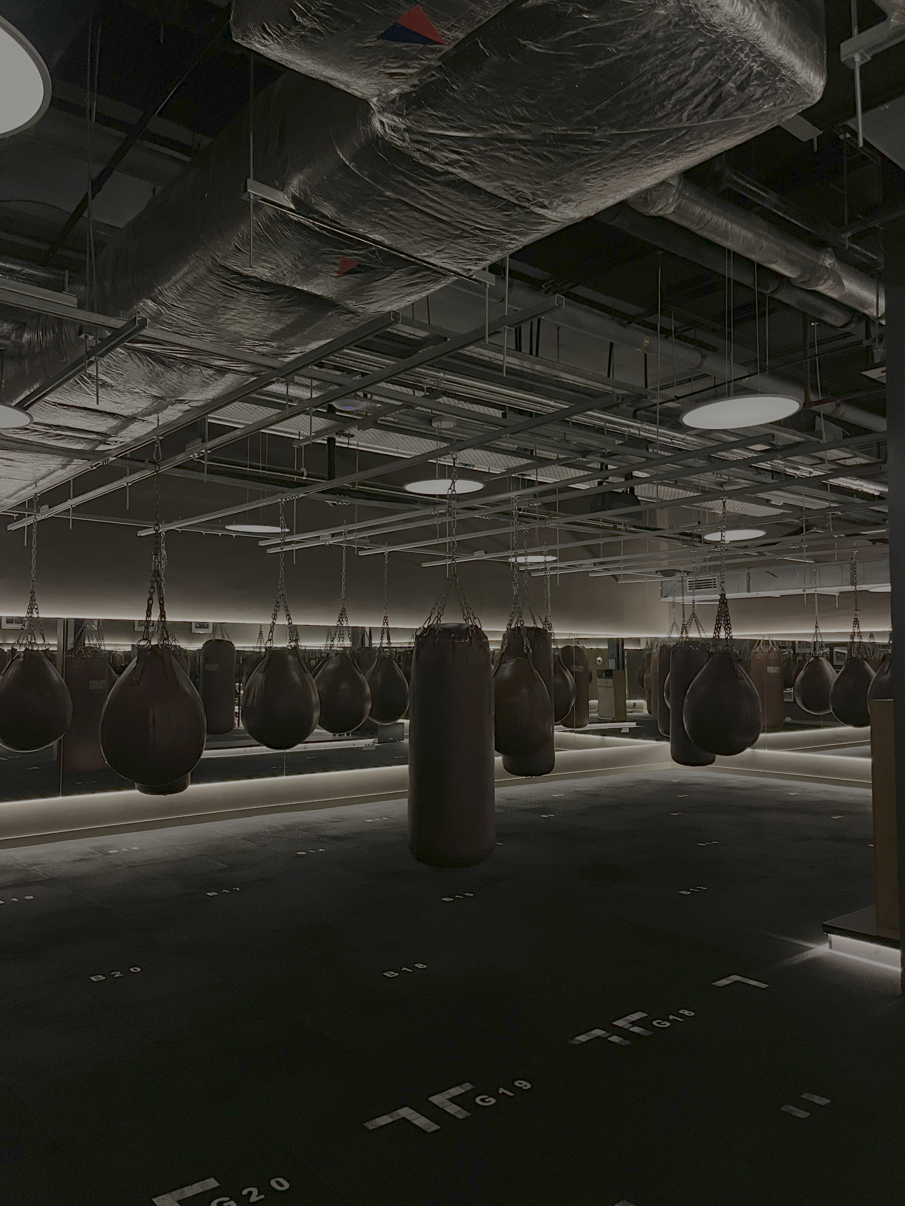 The inside of a boxing gym, with silhouetted punch bags hanging from the ceiling
