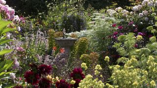 how to plan a cottage garden flowers around a sun dial