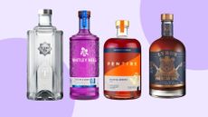 A selection of the best non-alcoholic spirits, including Whitley Neill gin, Pentire Spritz, and more