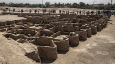 This image shows part of Egypt's 'lost golden city.'