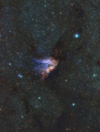 A dark blue and black region of space with blueish stars scattered throughout. In the center, a gorgeous orange and purple nebula.