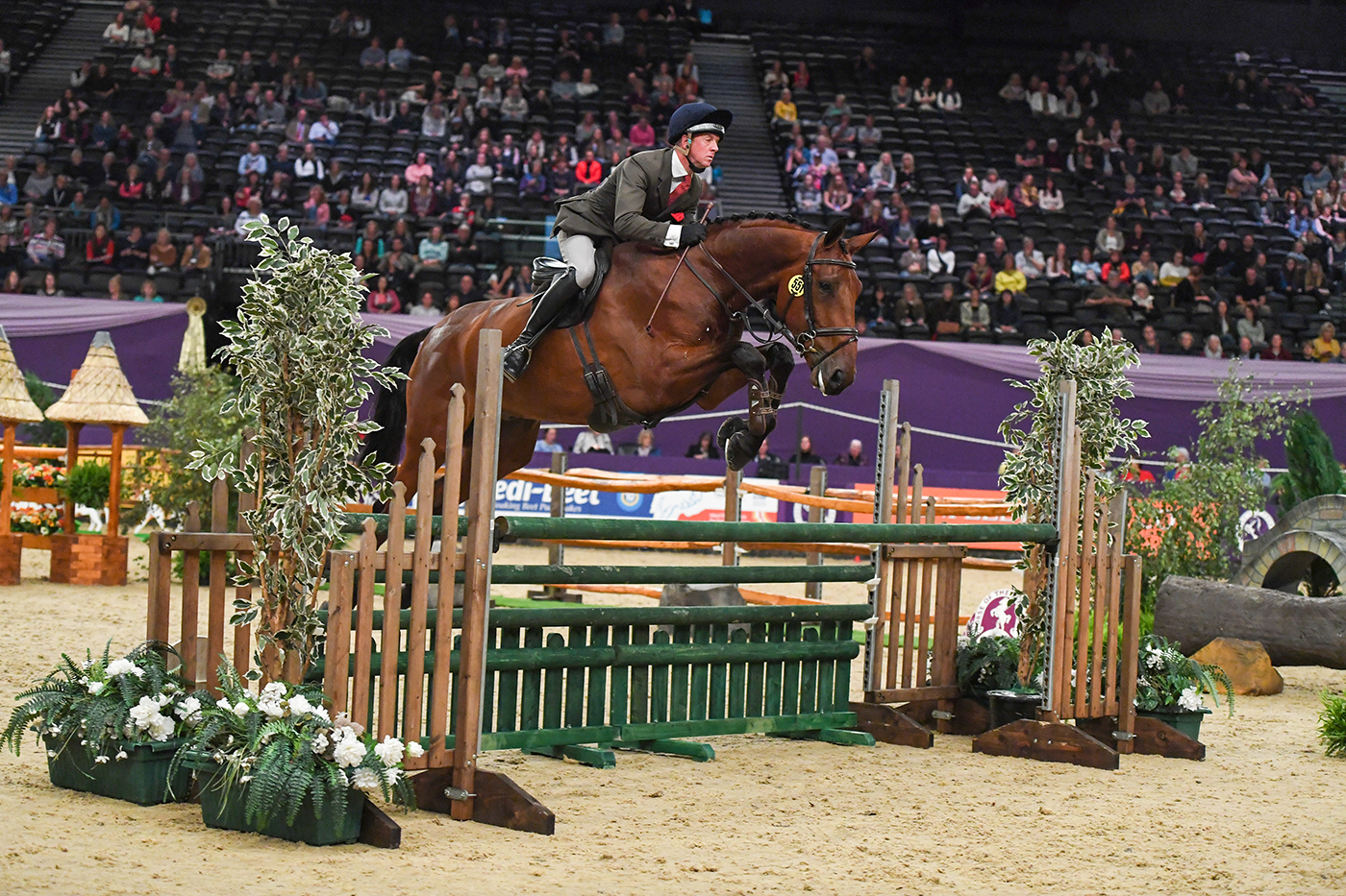 HOYS 02 10 19