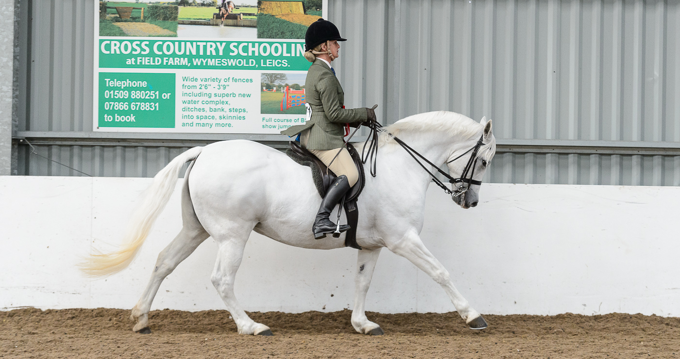 NPS autumn festival: Tyan Ma&amp;rsquo;Lady