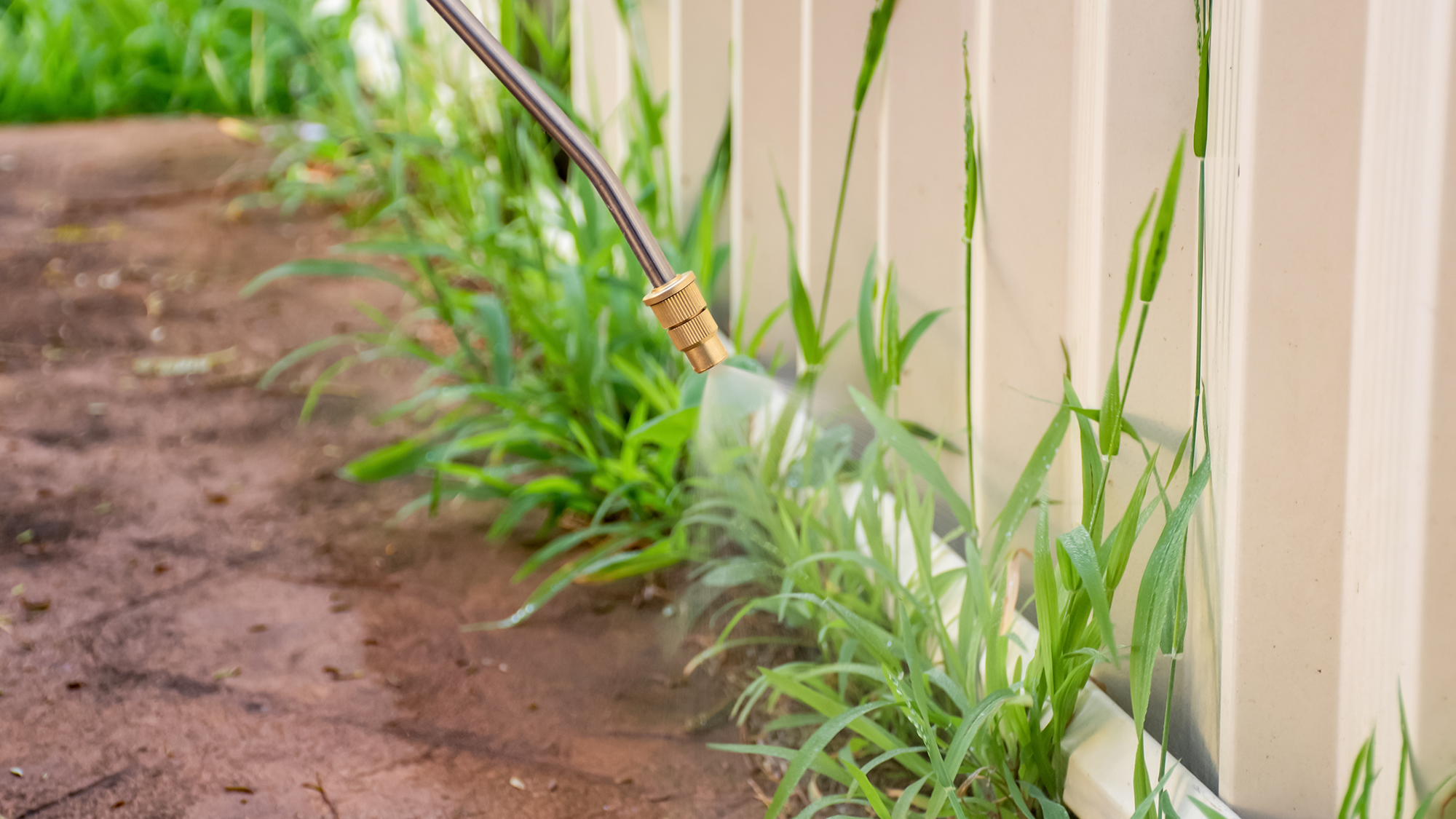 Spraying weeds on border