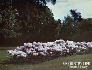 Gertrude Jekyll's garden at Munstead Wood - photographed in 1912 (©Country Life Picture Library)