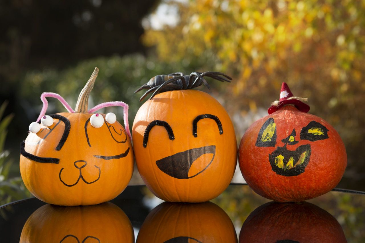 Painted pumpkins