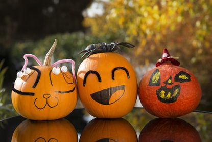 Halloween painted pumpkins