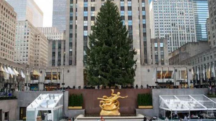 Rockefeller Center Christmas Tree