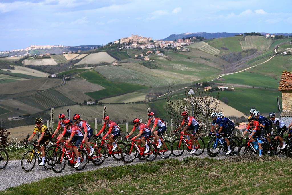 SARNANOSASSORETTO ITALY MARCH 10 A general view of Giulio Ciccone of Italy Dario Cataldo of Italy Amanuel Ghebreigzabhier of Eritrea Markus Hoelgaard of Norway Quinn Simmons of The United States Toms Skujins of Latvia Edward Theuns of Belgium and Team Trek Segafredo Koen Bouwman of The Netherlands and Team Jumbo Visma and Albert Torres Barcelo of Spain and Movistar Team compete during the 58th TirrenoAdriatico 2023 Stage 5 a 1656km stage from Morro dOro to SarnanoSassotetto 1451m UCIWT TirrenoAdriatico on March 10 2023 in SarnanoSassotetto Italy Photo by Tim de WaeleGetty Images