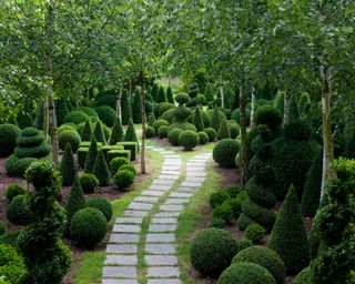 topiary forest of different shapes and forms in a garden