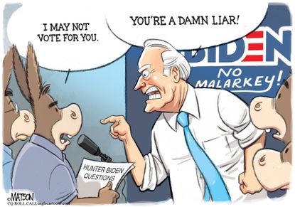 Political Cartoon U.S. Biden Damn Liar Voter Questions