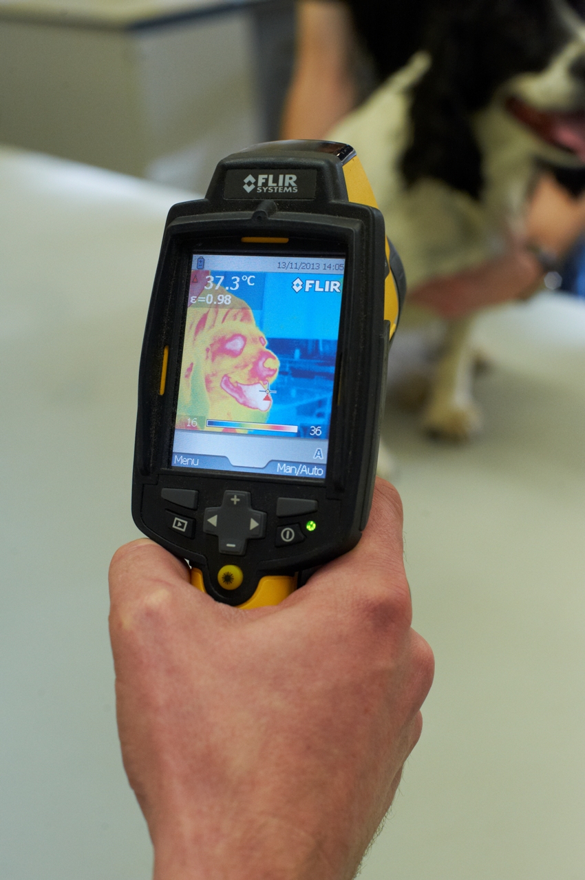 Thermography