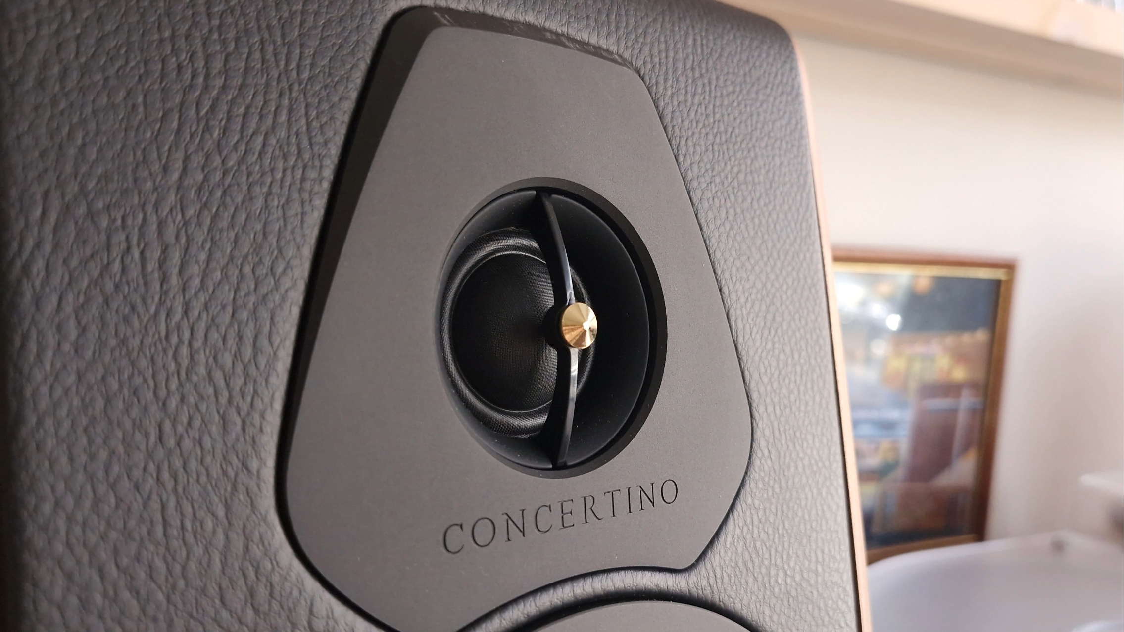 Closeup of the tweeter of the Sonus Faber Concertino G4 bookshelf speakers