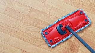 A mop cleaning a hardwood floor