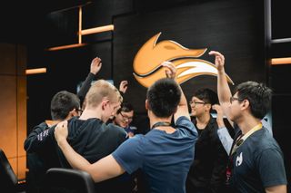 Echo Fox