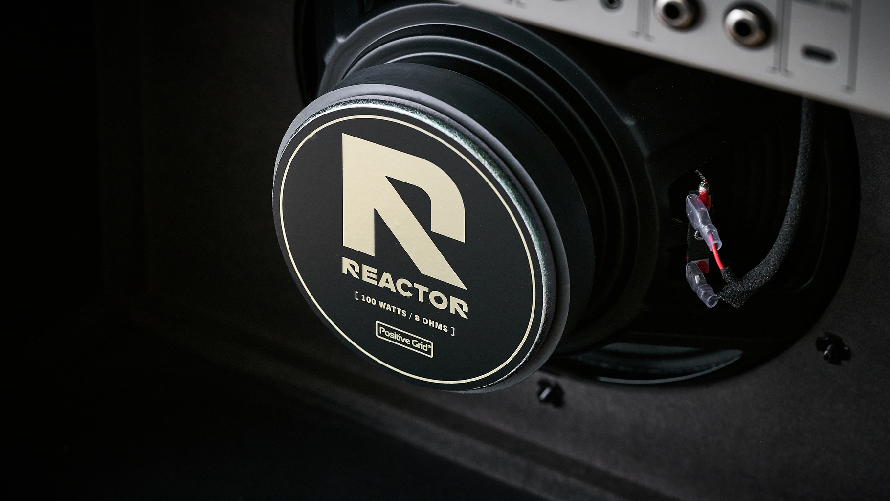 Positive Grid Reactor 100W