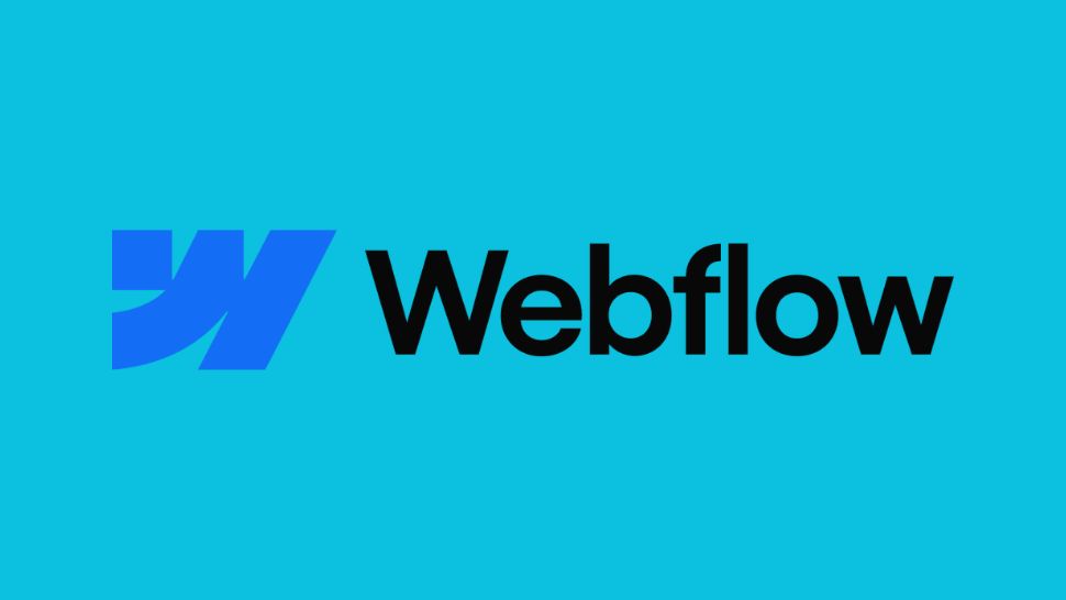 Webflow logo in black on light blue background