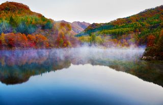 The colorful foliage of autumn