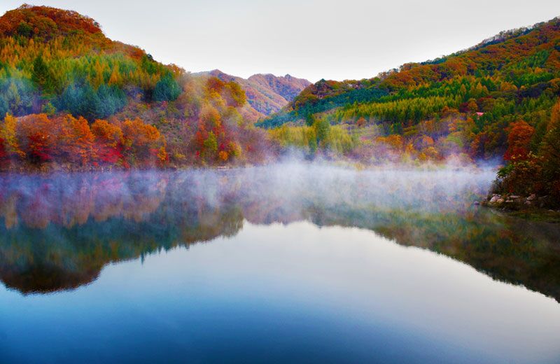 The colorful foliage of autumn 