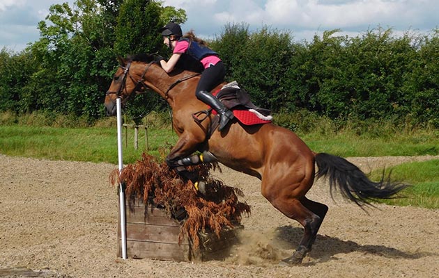 &ldquo;This was a bit of a miscommunication between me and my horse Billy on where and when we were taking off. We had a bumpy landing but we stuck together and didn&rsquo;t part our ways!&rdquo; &mdash; Lauren Martin