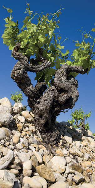 Domaine La Luminaille