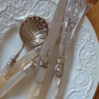 spoon on plate with silver