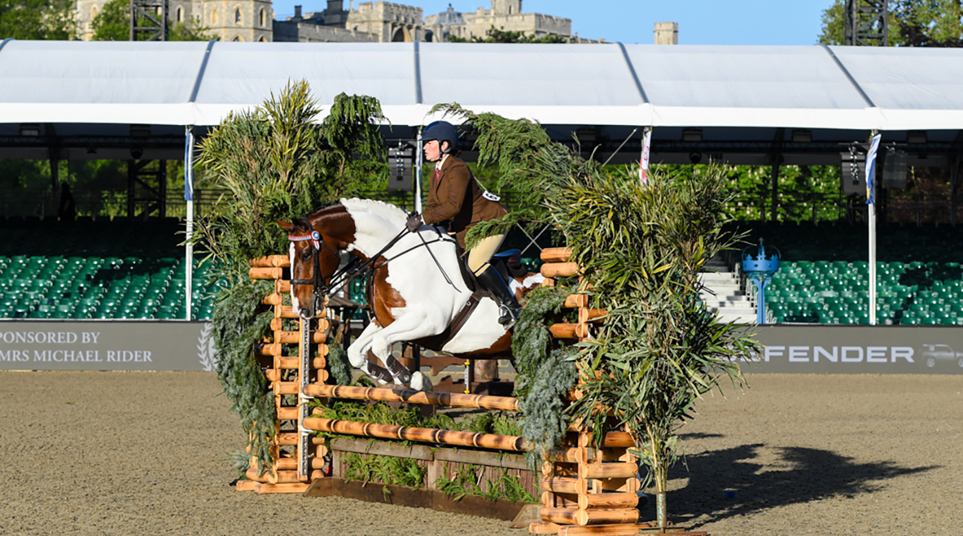 royal windsor working show horse