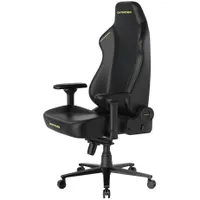 DXRacer Martian XLPC Gamer score: 82%