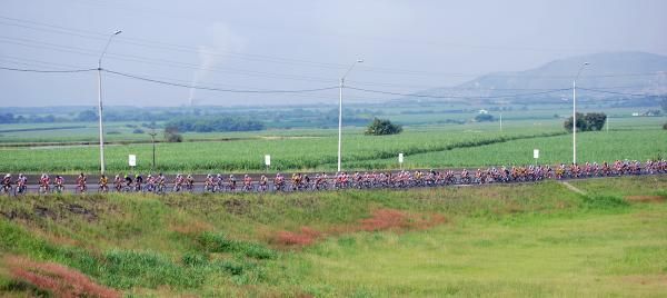 The peloton