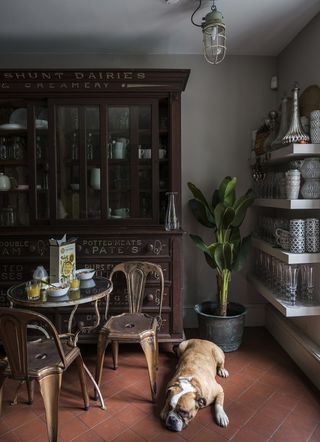 houseplant in a pantry with a dining table