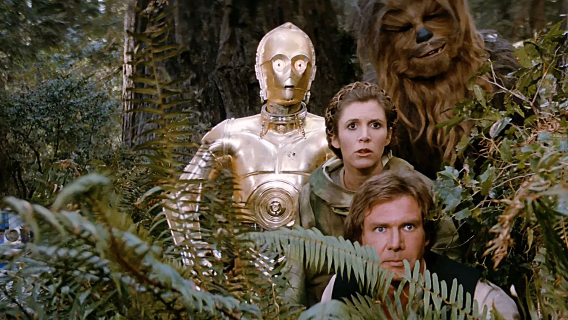 C3PO hides among ferns with Leia, Han Solo and Chewbacca